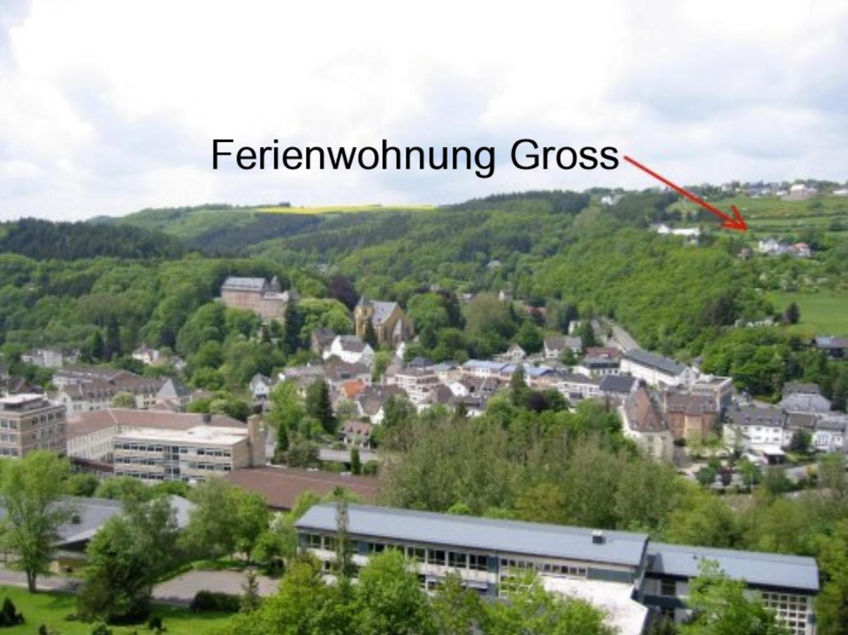 Ferienwohnung Gross A Schleiden Exterior photo